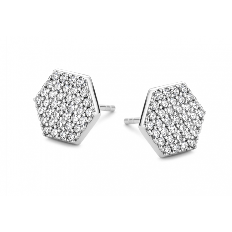 Boucles d'oreilles Silver Rose