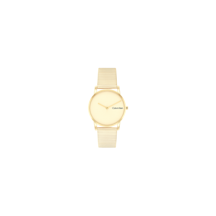 copy of Montre Calvin Klein