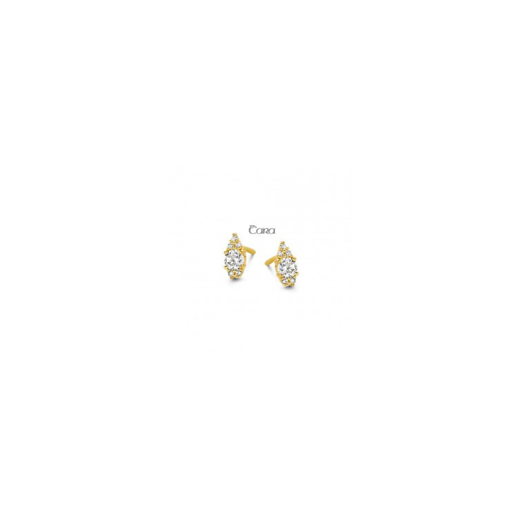 copy of Boucles d'oreilles Or